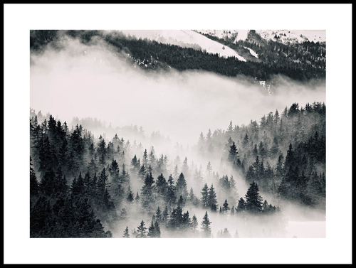 moln-i-skog_30x40_WEBB.jpg