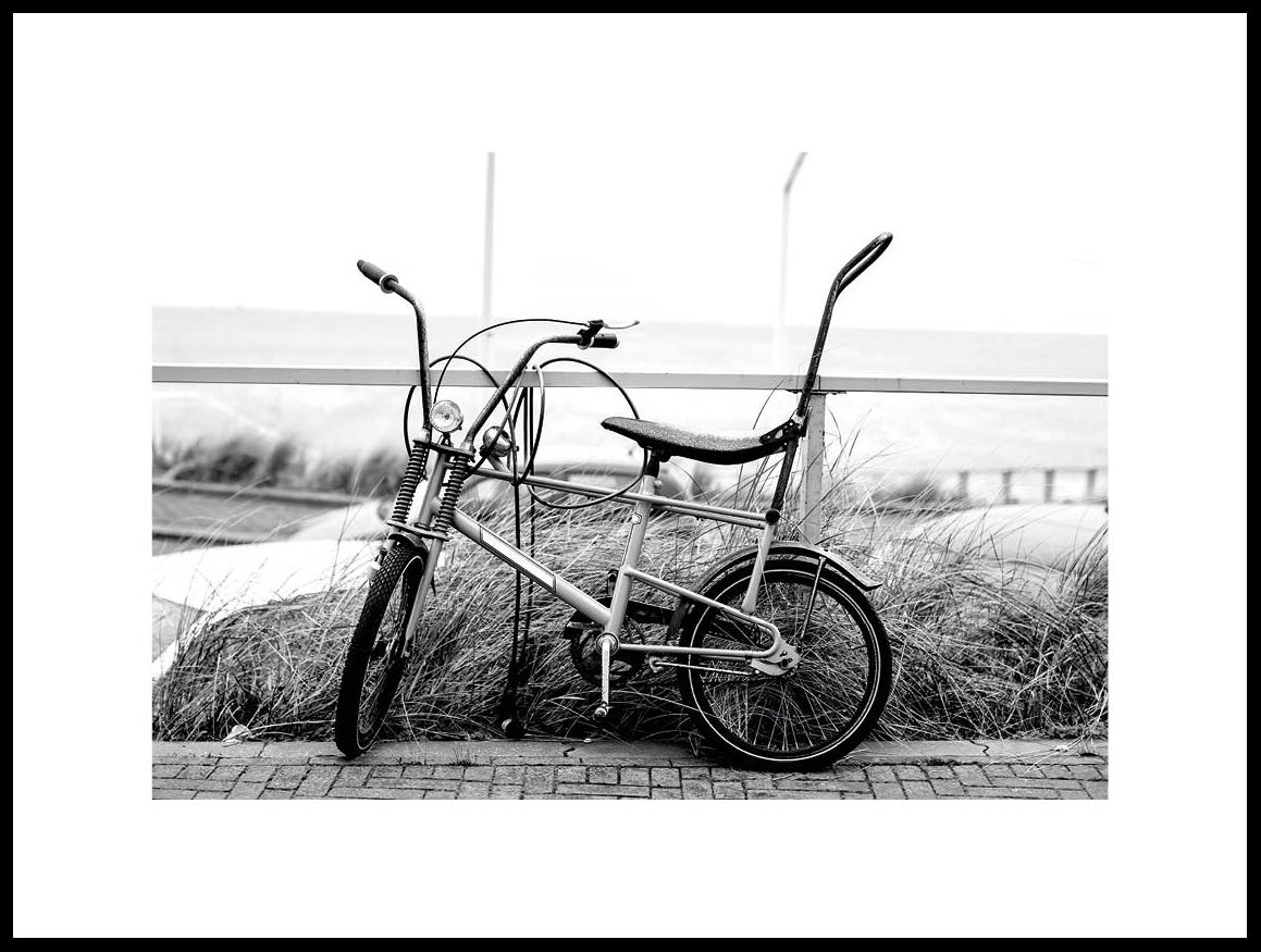 Cuadro de Paisaje con Bicicleta Vintage